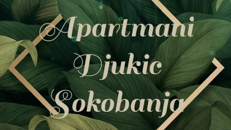 Apartmani Đukić